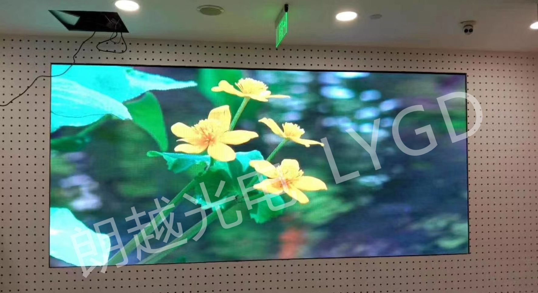显示屏